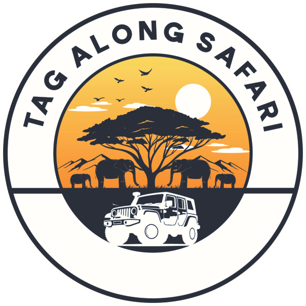 Tag Along Safari